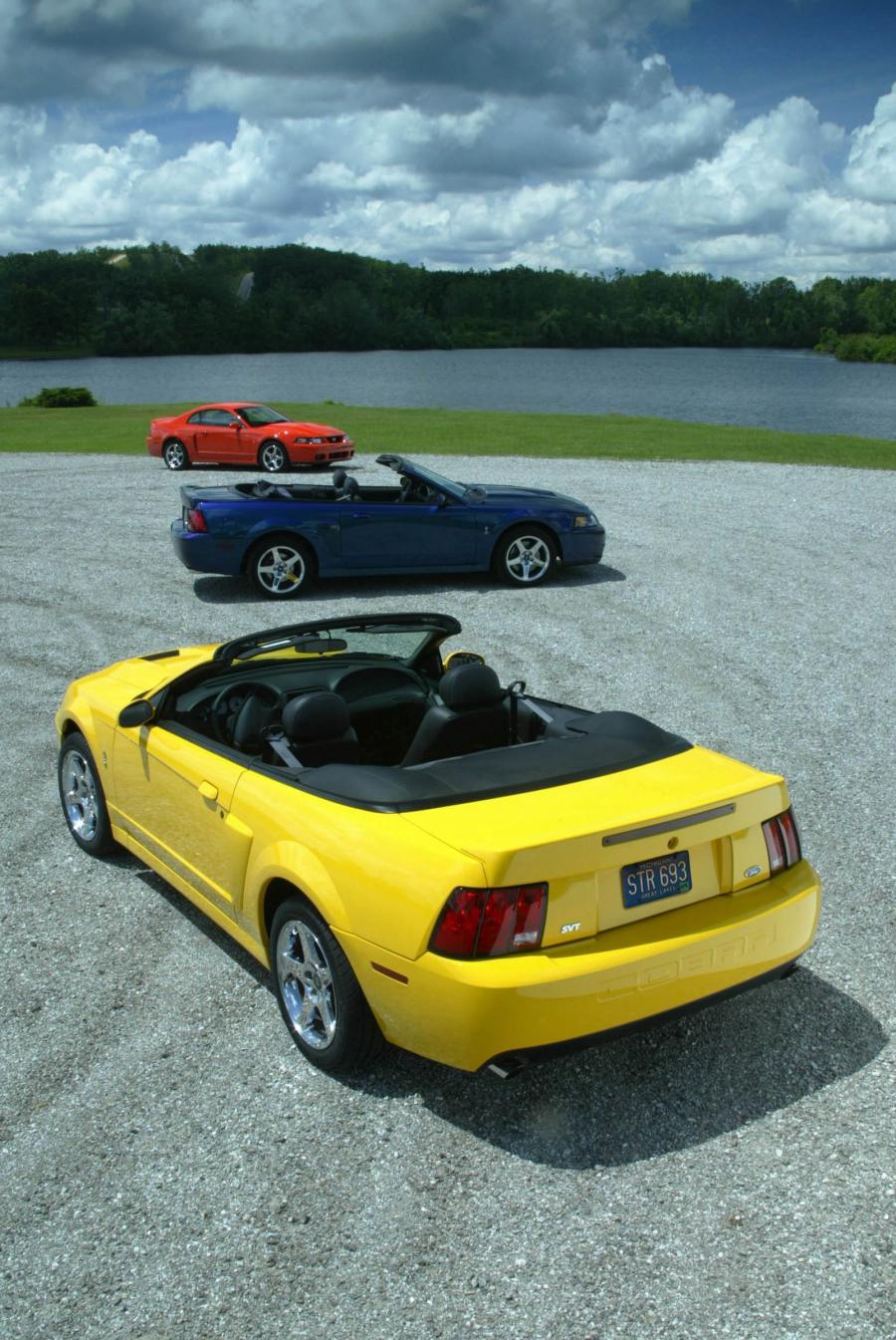  Ford Mustang SVT Cobra 2003 года  (фото 15 из 61)
